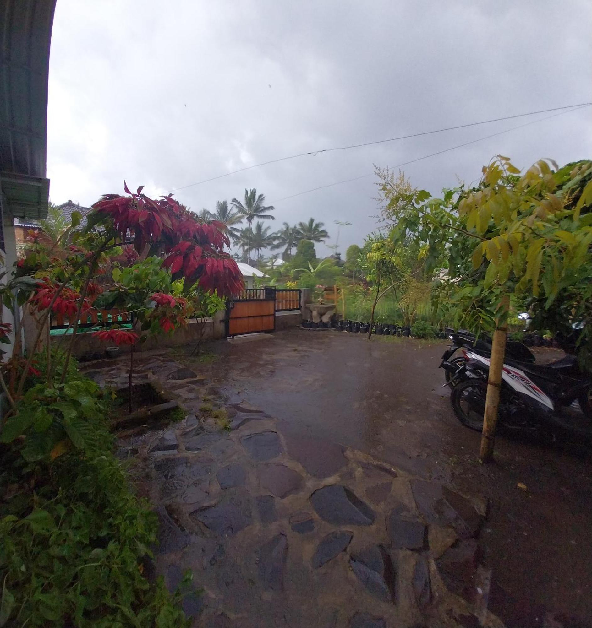 Selong Raturinjani Homestay מראה חיצוני תמונה