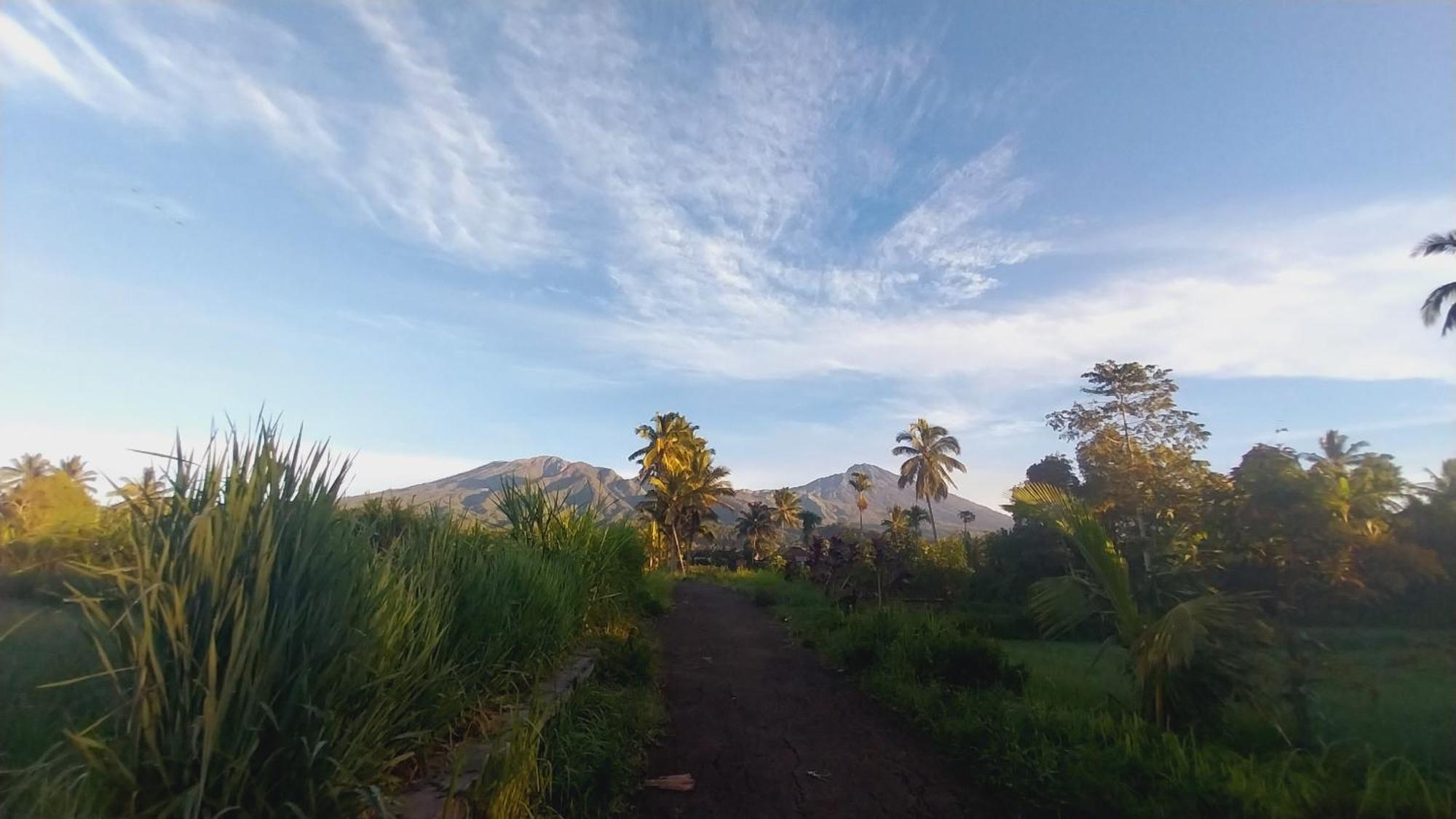 Selong Raturinjani Homestay חדר תמונה