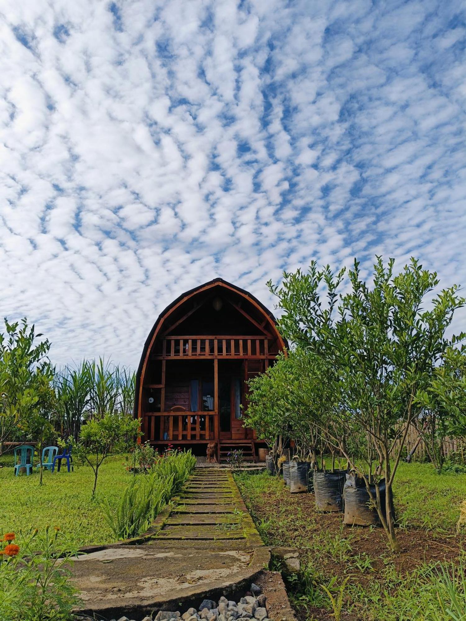 Selong Raturinjani Homestay מראה חיצוני תמונה